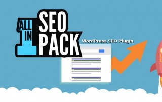 All-in-One-SEO-Pack-Pro-pro